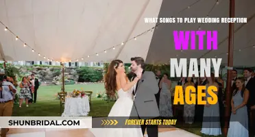 Songs for a Multi-Generational Wedding Reception