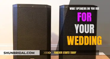 Choosing Speakers for Your Wedding: A Guide