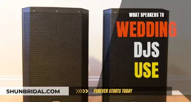Wedding DJ Speakers: What's Their Secret?