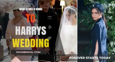 Stars Expected to Attend Prince Harry's Royal Wedding Celebration