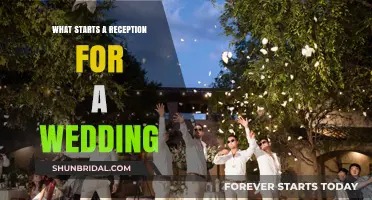Planning a Wedding Reception Entrance: Tips and Tricks