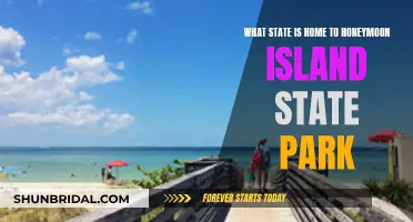 Honeymoon Island: Uncover Florida's Tropical Paradise State Park