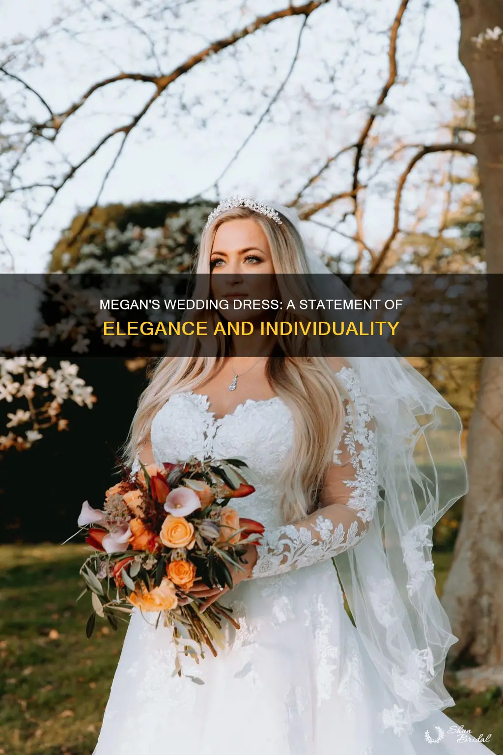 what statement does megans wedding dress state