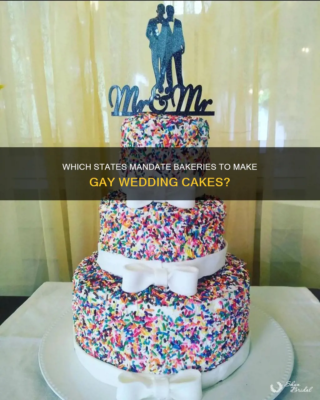 what states mandate all bakeries to make gay wedding cakes