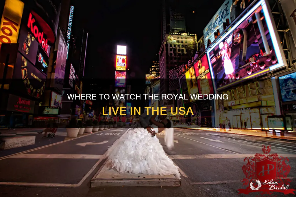what station is broadcasting royal wedding in usa