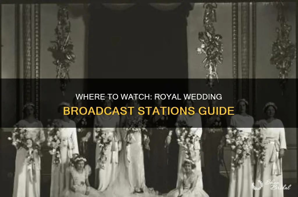 what stations will carry te4h royal wedding