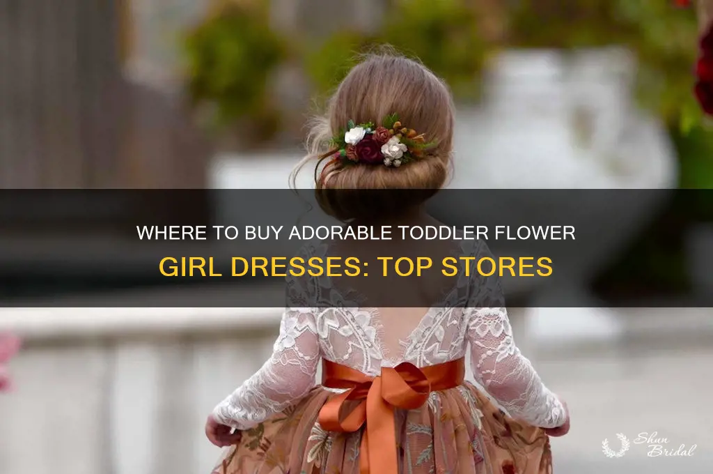 what store could i buy toddler dresses flower girl