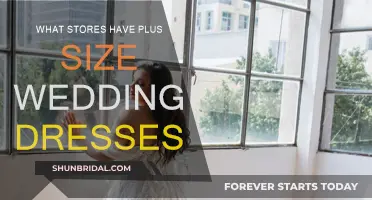 Plus-Size Wedding Dresses: Retailers for Your Dream Gown