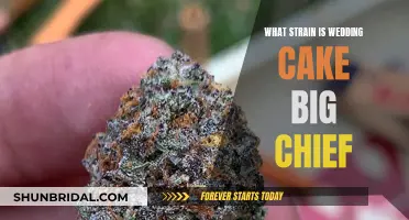 Big Chief's Wedding Cake: A Sweet Strain Blend