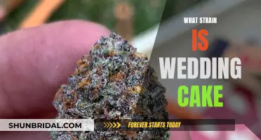 Wedding Cake Strain: A Sweet Hybrid Treat