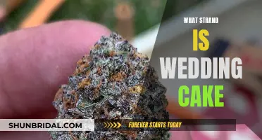 Wedding Cake Weed: Discovering the Perfect Hybrid Strain