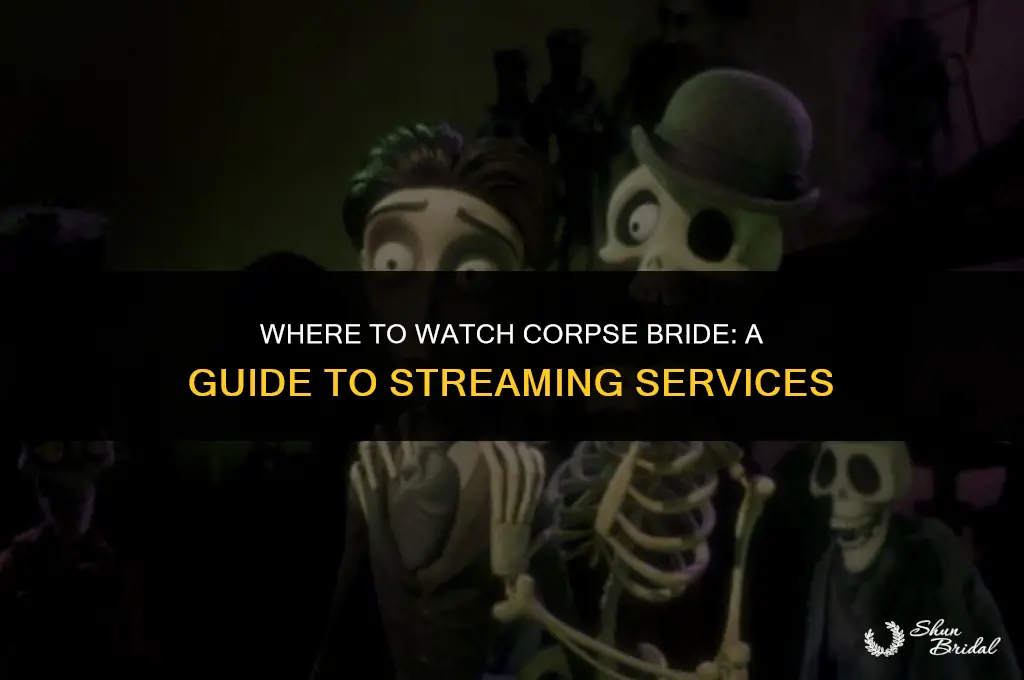 what streaming service is corpse bride on