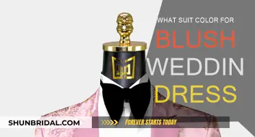 Blush Wedding Dress: Suit Color Guide for Grooms