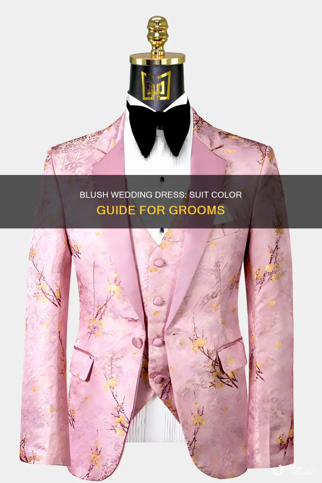 what suit color for blush wedding dress