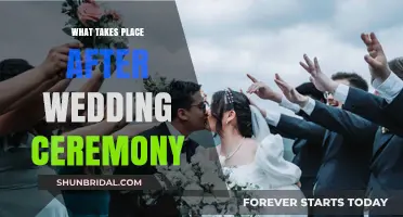 Post-Wedding Bliss: Celebrations, Traditions, and New Beginnings Explored