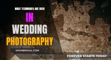 Capturing the Big Day: Techniques for Wedding Photography