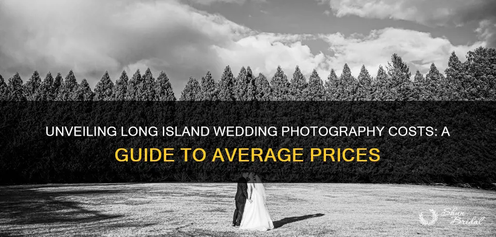 what the average price for wedding photographer long island