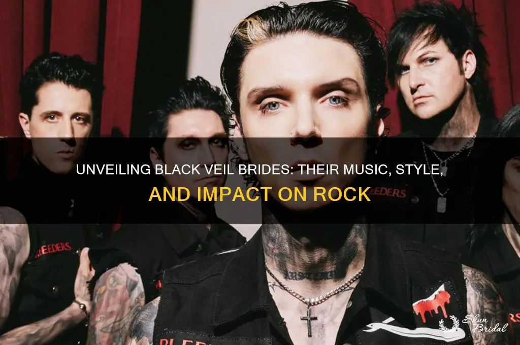 what the band black veil brides