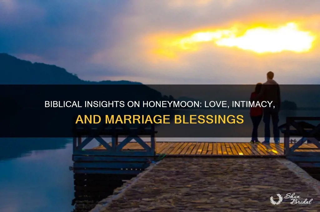 what the bible say about honeymoon