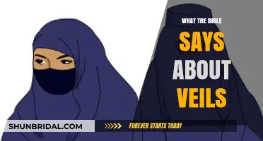 Biblical Insights: Understanding Veils in Scripture and Their Spiritual Meaning