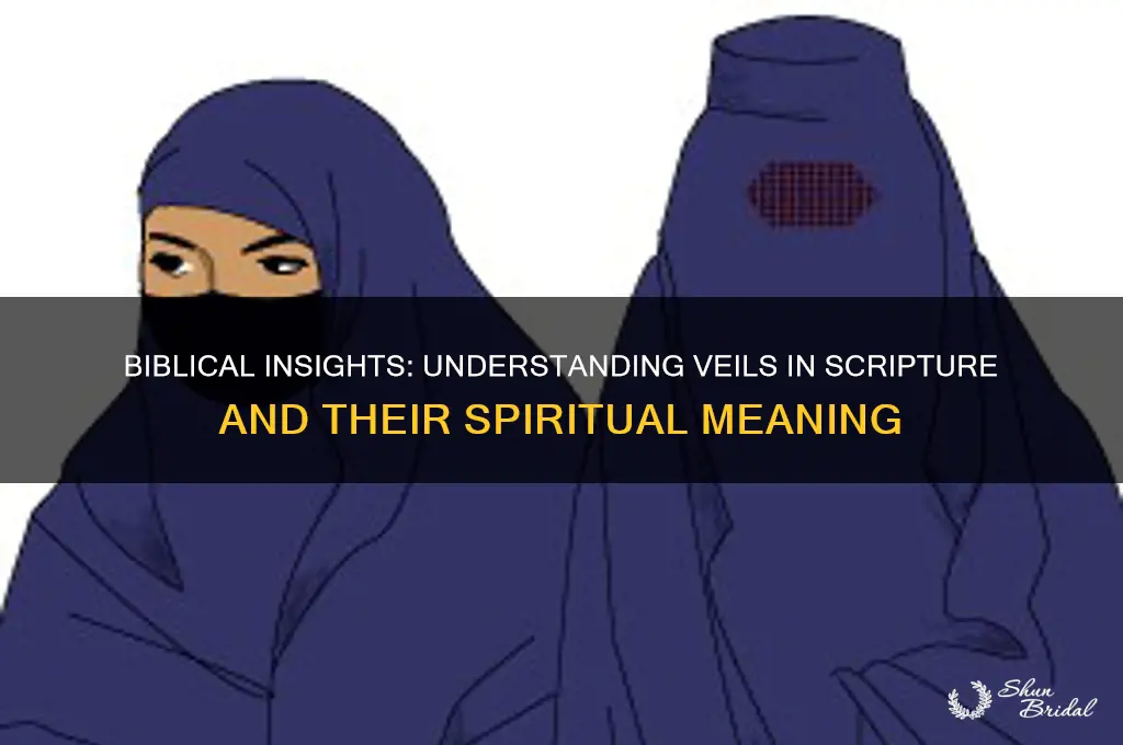 what the bible says about veils