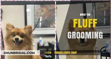 Pamper Your Pup: The Ultimate Guide to Fluffy Grooming