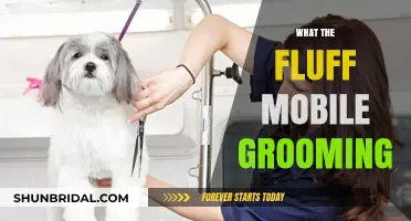Pamper Your Pet on the Go: The Fluff Mobile Grooming Experience