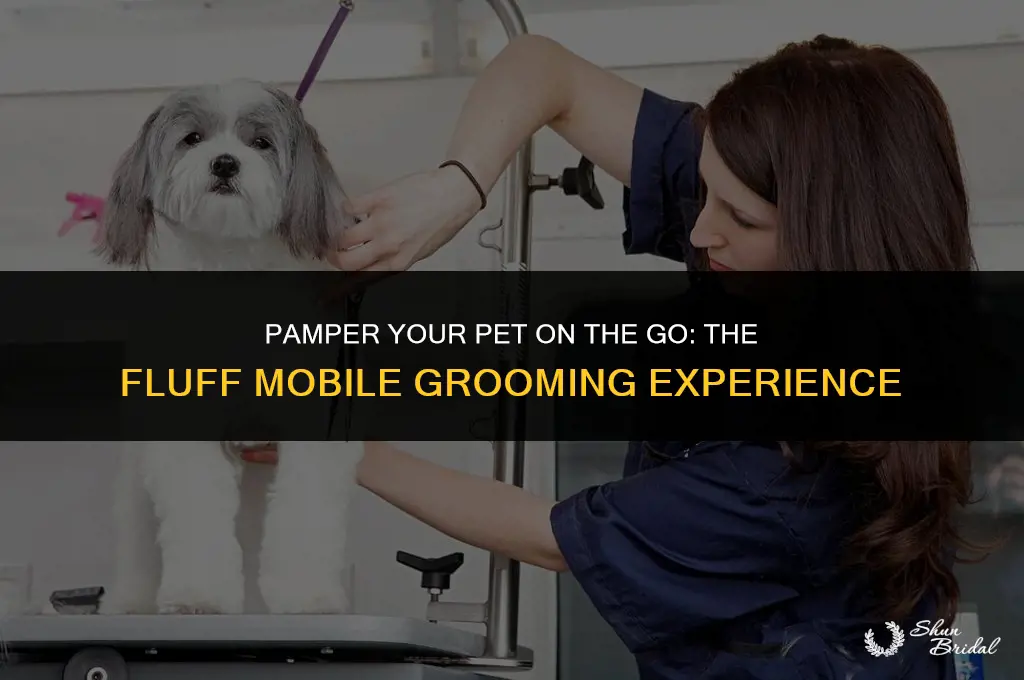 what the fluff mobile grooming