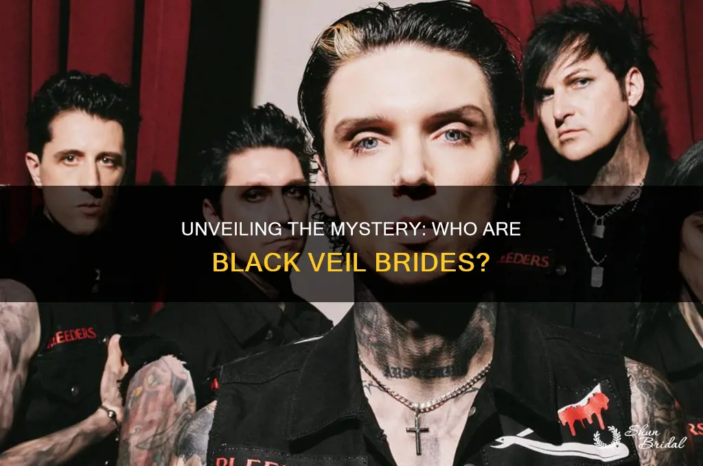what the heck is black veil brides