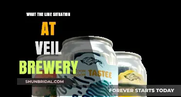 Veil Brewery Line Situation: What's Happening and How to Navigate It