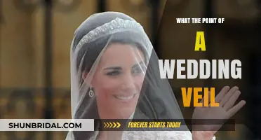 The Wedding Veil: Tradition, Symbolism, and Modern Significance Explained