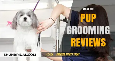 Puppy Pampering: A Comprehensive Guide to Grooming Reviews