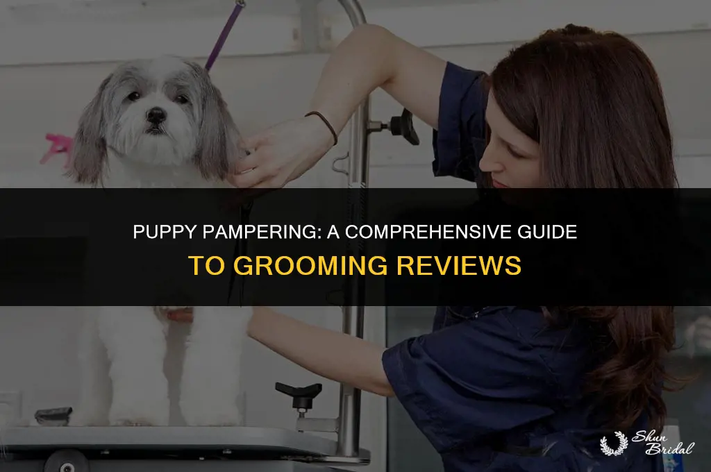 what the pup grooming reviews