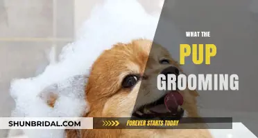 Pampering Your Pup: A Guide to Grooming Bliss
