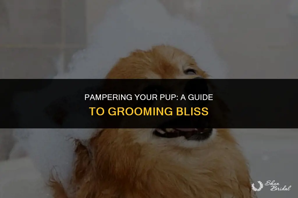 what the pup grooming