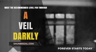 Optimal Difficulty for Through a Veil Darkly: Expert Recommendations
