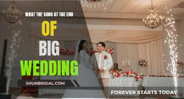 The Big Wedding's Emotional Ending Song