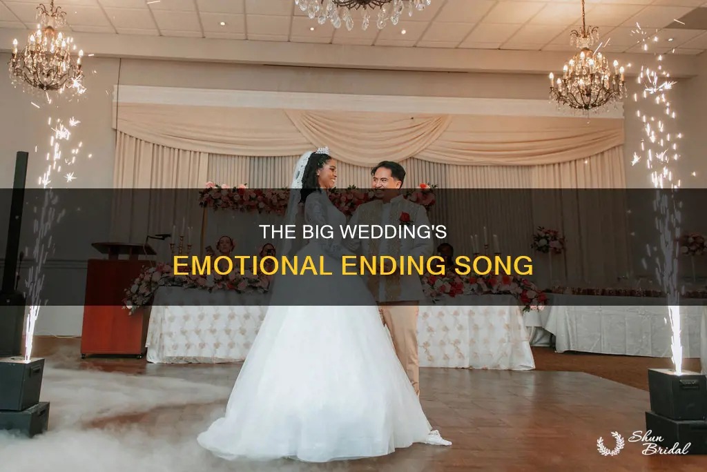 what the song at the end of big wedding