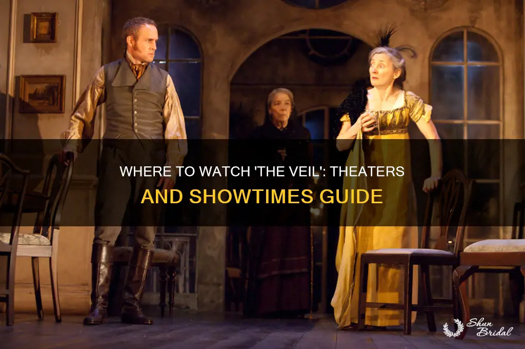 what theaters is the veil playing
