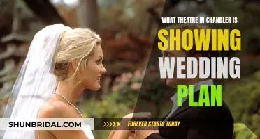 Chandler's Wedding Plan: Catch It at the Theatre!