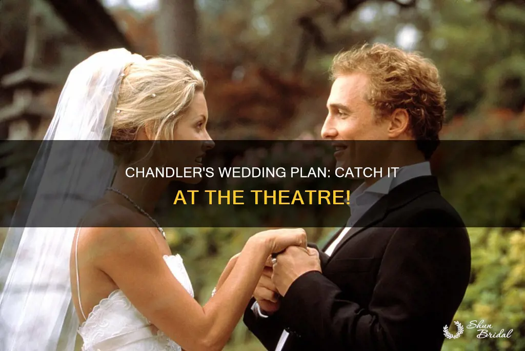 what theatre in chandler is showing wedding plan