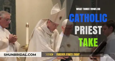 Catholic Priesthood Vows: Chastity, Poverty, and Obedience Explained