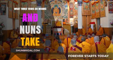 Sacred Commitments: Exploring the Three Vows of Monks and Nuns