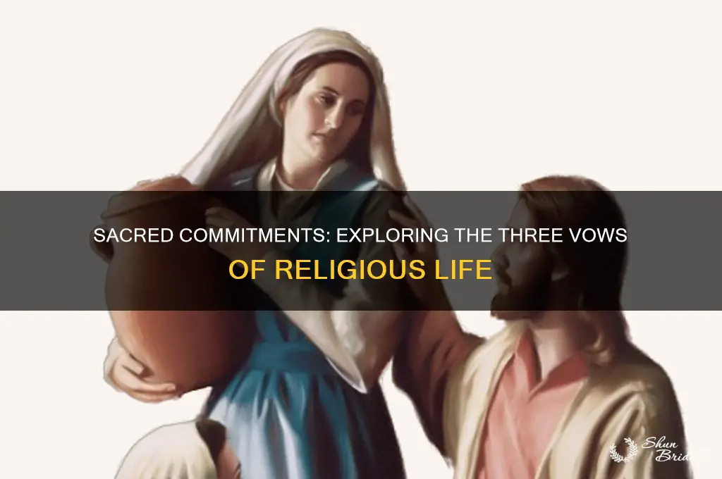 what three vows do religious sisters brothers and priests take