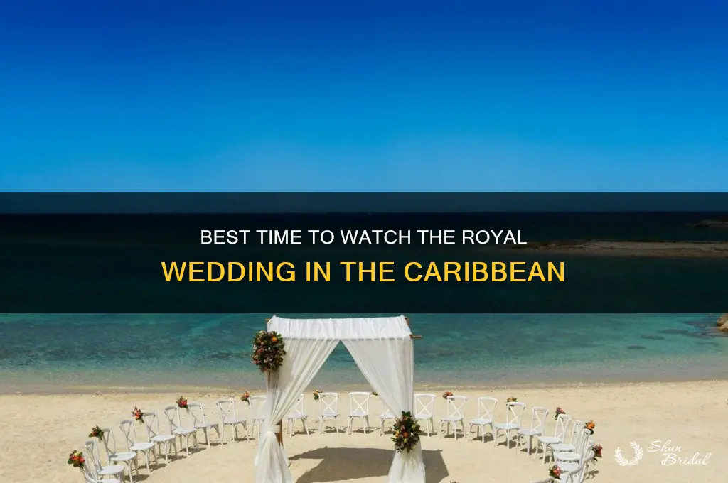what tim to view the royal wedding in the caribbean