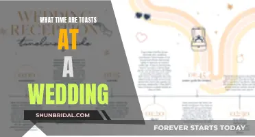 Toasts at Weddings: Timing and Traditions Explained