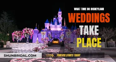 Disneyland Weddings: Timing and Magic Moments