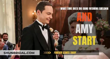 The Big Bang Theory's Big Wedding: Unveiling Sheldon and Amy's Nuptials