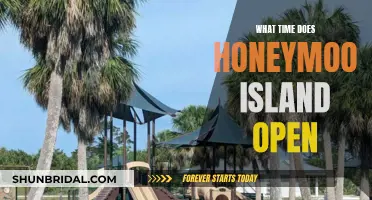Honeymoon Island Opening Times: Plan Your Visit