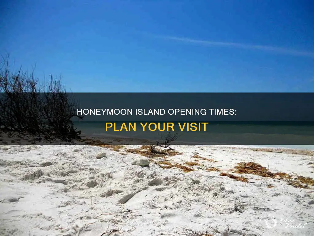 what time does honeymoon island open